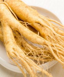 Sisel CollagenB3 Kollagen Pulver mit Ginseng